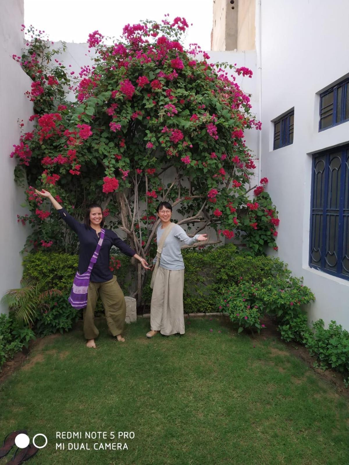Rajguru Guest House プシュカル エクステリア 写真