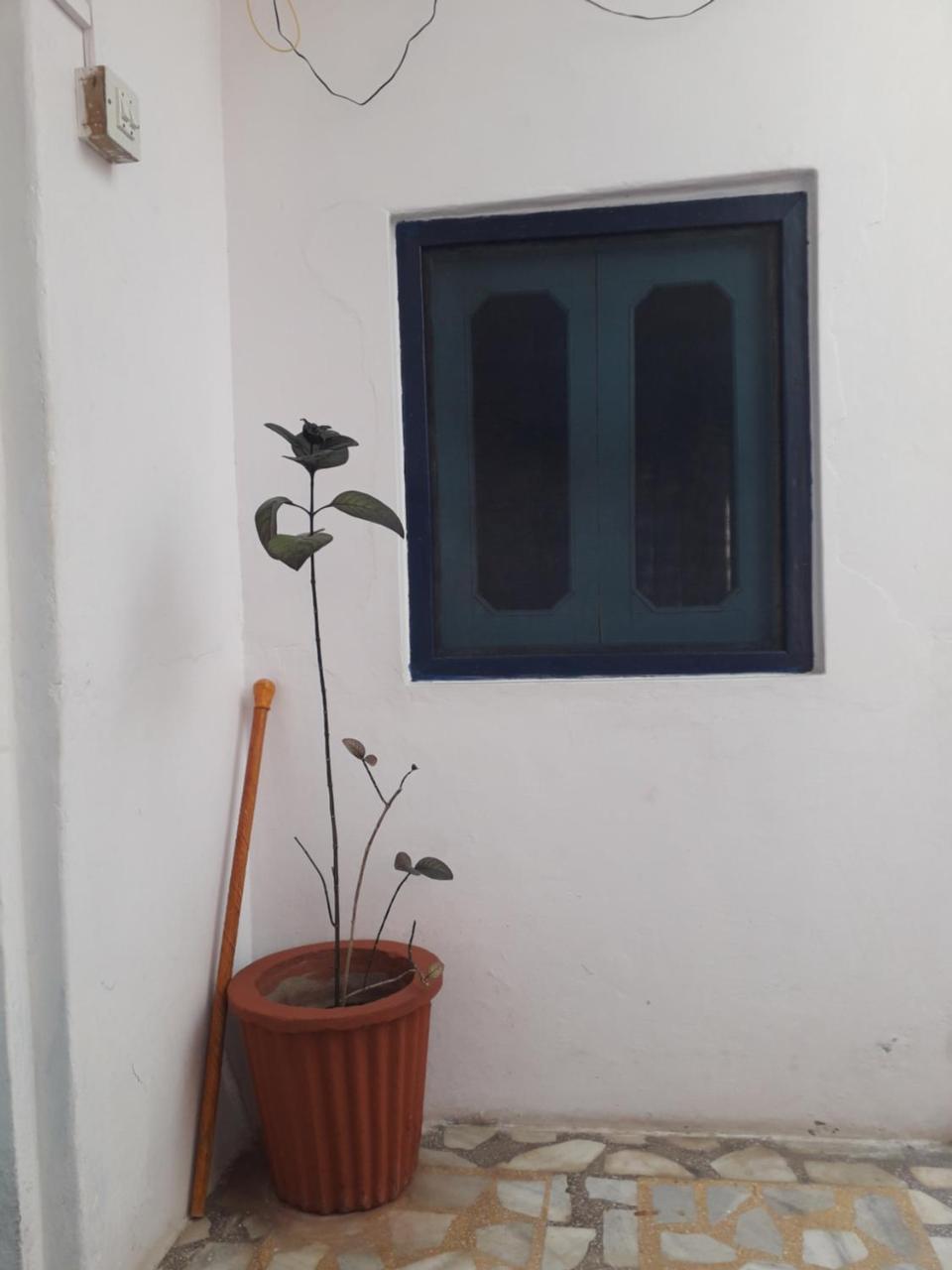 Rajguru Guest House プシュカル エクステリア 写真